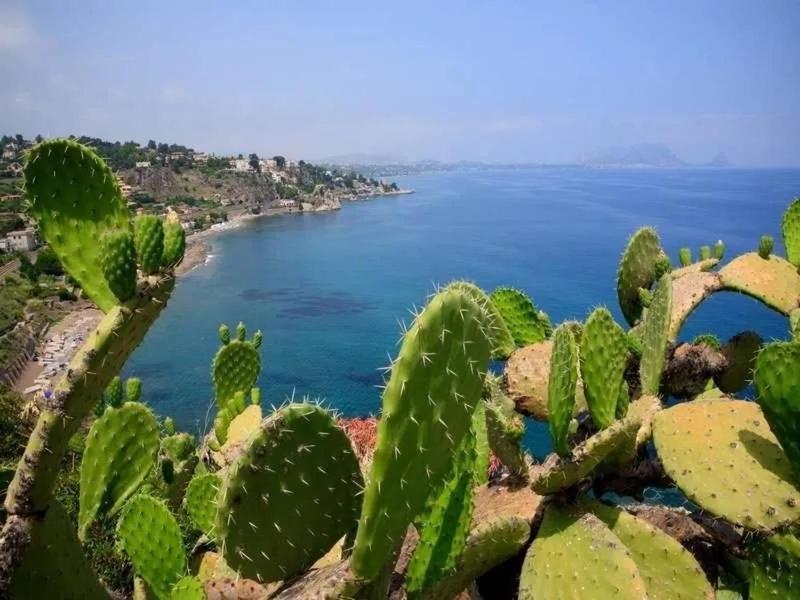 Villa Ale Altavilla Milicia Esterno foto